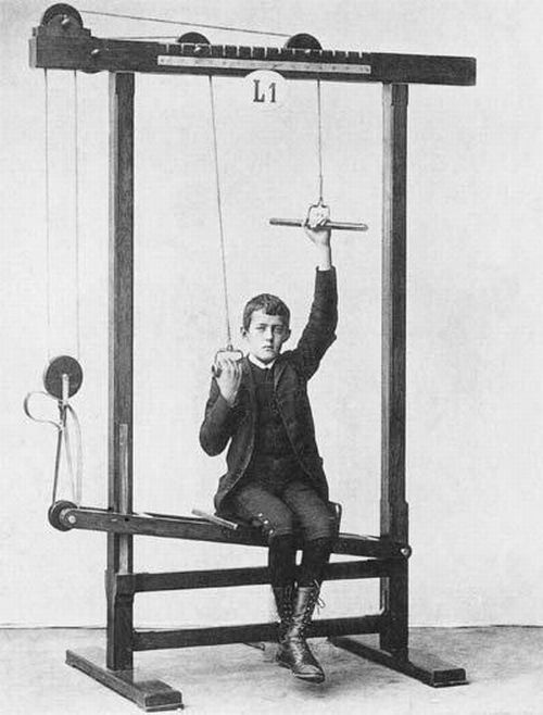 Zander mechanical exercise apparatus, station L1